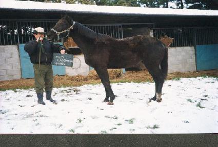 �̽��������� ����