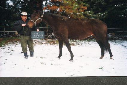 �Ʊ��ƾ��ٸ�Ÿ ����