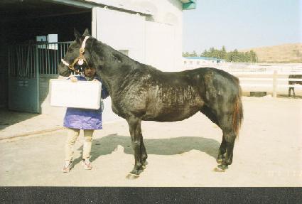 ����ŷ�ƿ� ����