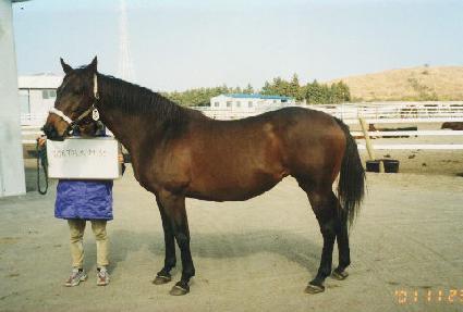 �丣���̽� ����