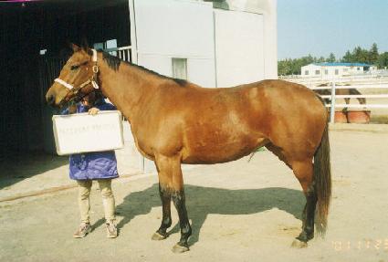 ��Ƽ��������Ʈ ����