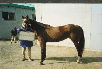 MISS ALWUHUSH picture