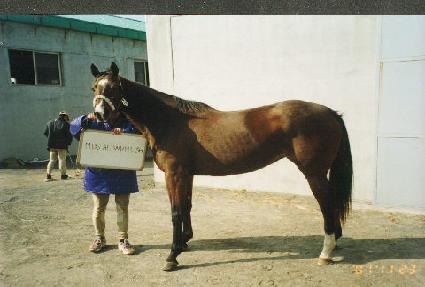 �̽��˷��㽬 ����