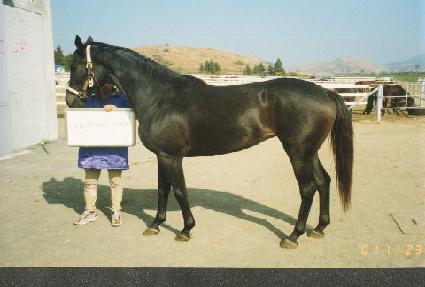 ũ����Ƽ���Ÿ ����