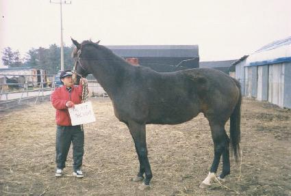 ���;ƿ�����ũ�� ����