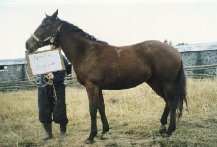 ������Ű�� ����