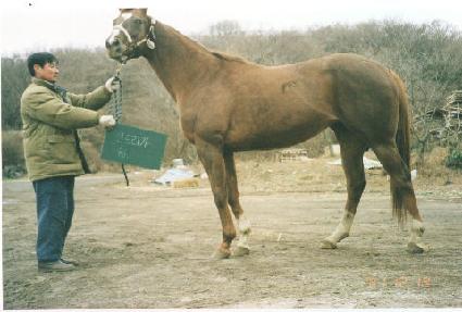 ��Ʈ���� ����