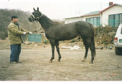 Ÿ������̽��� ����