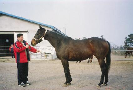 ����������̺� ����