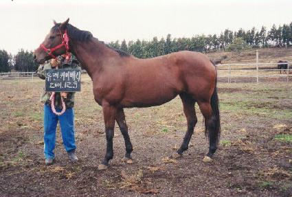 ��ĵ�ݹ̺�Ƽ ����