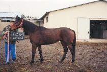 �̼ҷ�Ű (ME SO LUCKY) ����