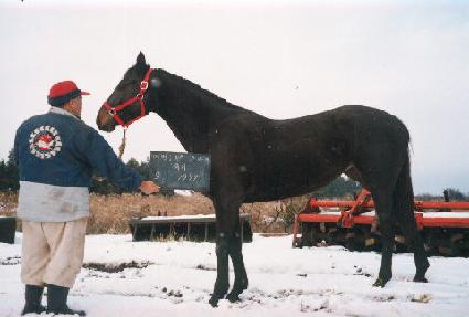 ���ī�̿�Ŀ ����