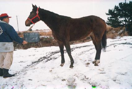 ���̵��� ����