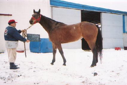 ������������� ����