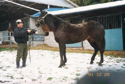 ��������Ʈ�Ͻ� ����