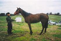 �����̽� (BURNING ISSUE) ����