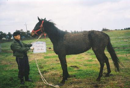 ���񸵵�� ����