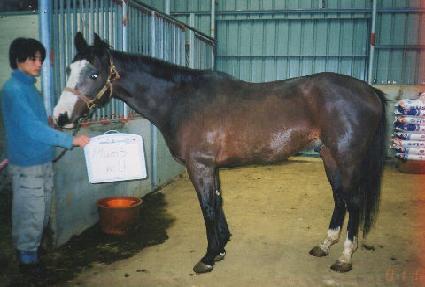 �÷����ϵ� ����