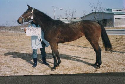 �ƶ����ö���Ʈ ����