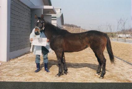 ������� ����