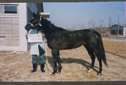 �̽�Ƽ�� ����