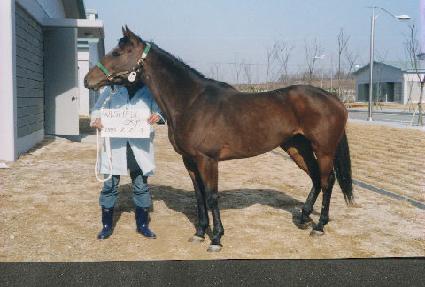 ����Ǯ��ī�� ����