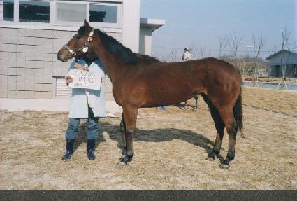 Ŭ�����̹��� ����