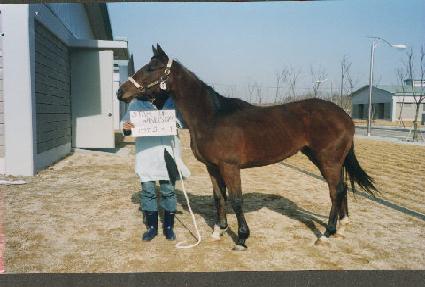 ��Ÿ������� ����