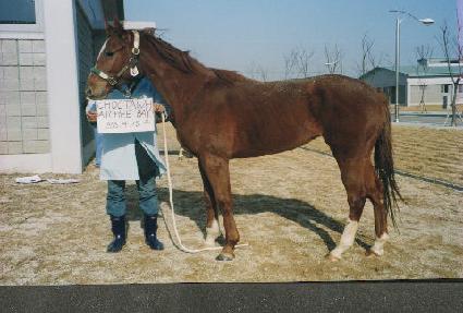 ���Ϳ�ġ���� ����