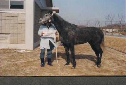 Ŭ���������� ����