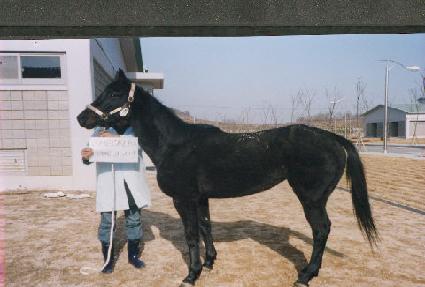 ��Ŭ���� ����