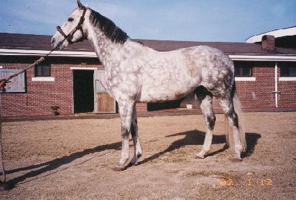 ����Ʈ�帮�� ����