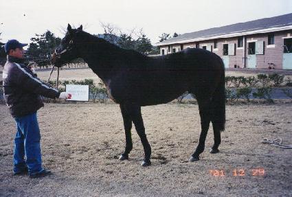 ��������ũ��� ����