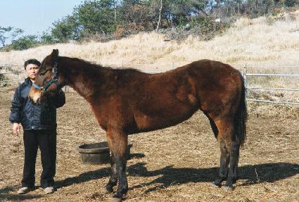 ��ũ�ص�۷θ� ����