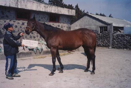 ������ĭƮ��Ʈ ����