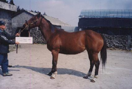 �׷���Ʈ���ͽ� ����