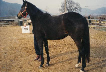 ī�� ����