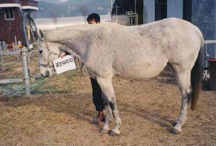 ����̹��� ����