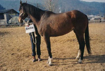 ī�������� ����