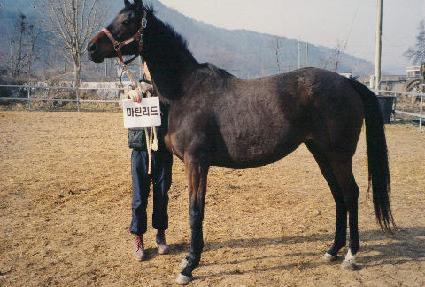 ��ƾ���� ����