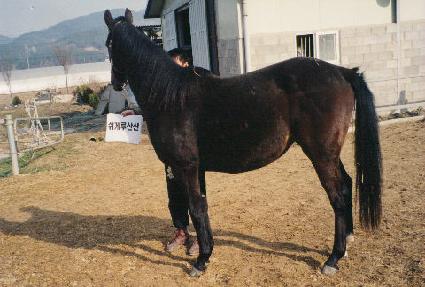 �ðԷ��� ����