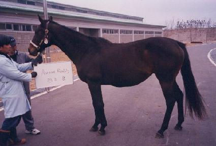 ��ī�þȸ��ٷ�Ƽ ����