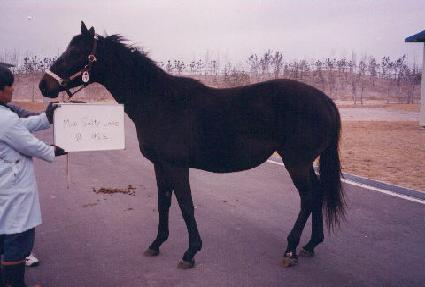 �̽���Ƽ����ũ ����