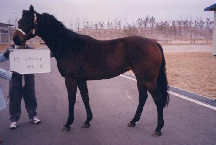 ��������Ű ����