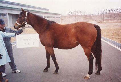 ũ���׾ƿ����� ����