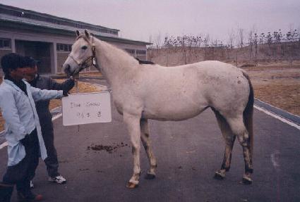 ��ý���� ����