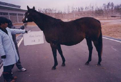 ���Ƿ�Ŀ ����