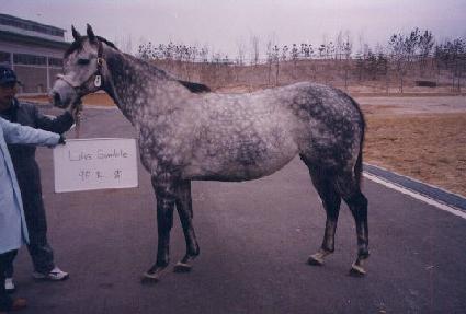 ���ٽ����� ����