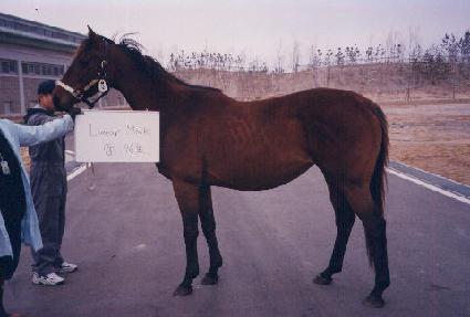 ���Ͼũ ����