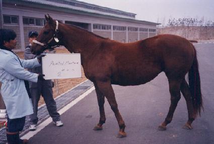 ����Ƽ�帶��ƾ ����